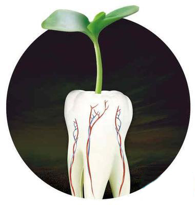 种植牙适合哪些人做？